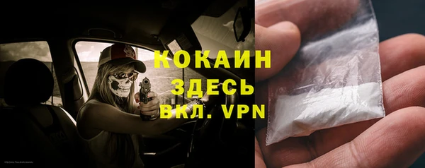 спайс Алексин