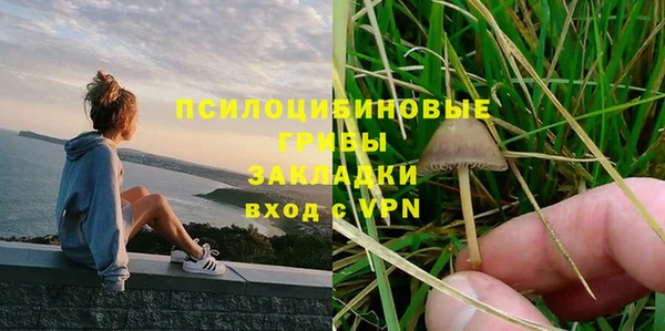 ПСИЛОЦИБИНОВЫЕ ГРИБЫ Абаза