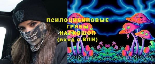 спайс Алексин