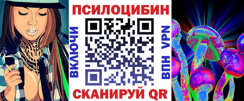 как найти закладки Пыталово Псилоцибиновые грибы MAGIC MUSHROOMS
